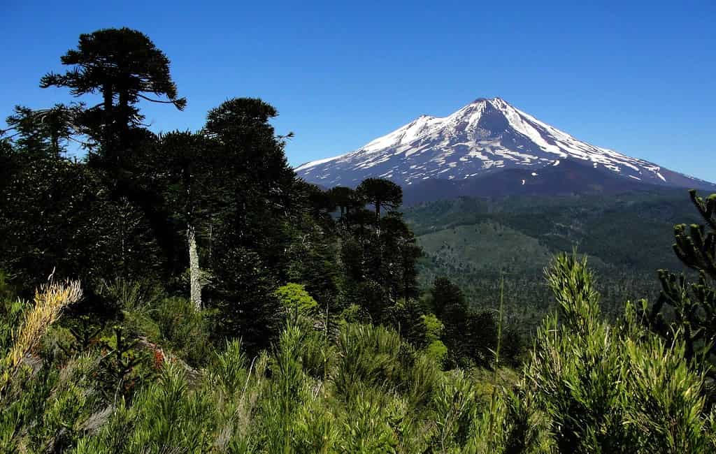 Clima en La Araucanía: cómo influye en la vida diaria y el turismo