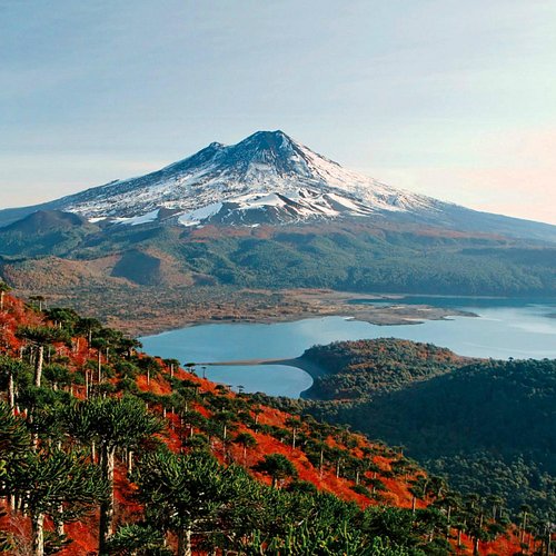 Actividades románticas en La Araucanía para parejas